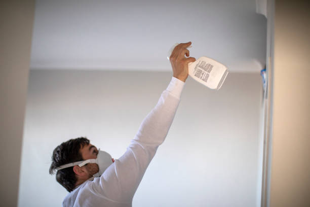Best Local Mold Removal Service  in Wilderness Rim, WA