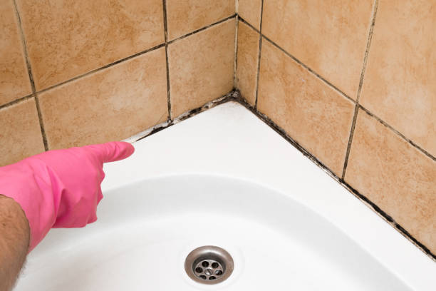 Best Certified Mold Removal  in Wilderness Rim, WA